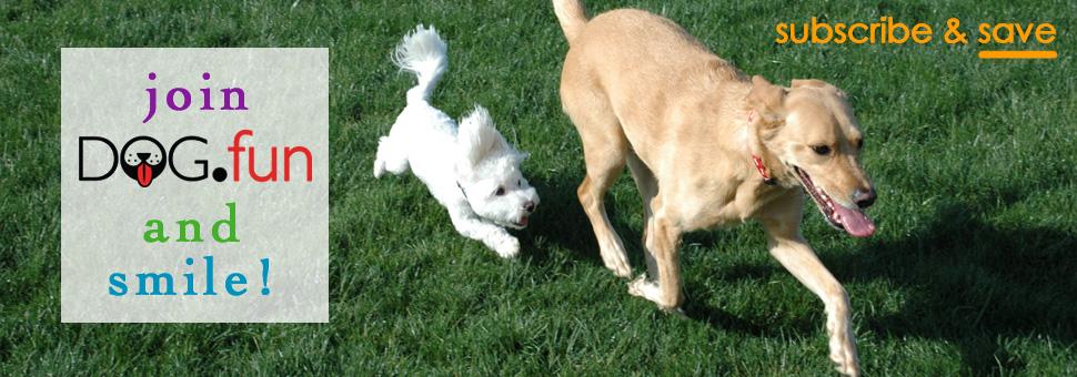 subscribe & save - join the dog.fun and smile!
