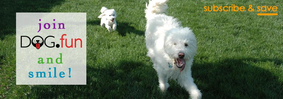 subscribe & save - join the dog.fun and smile!